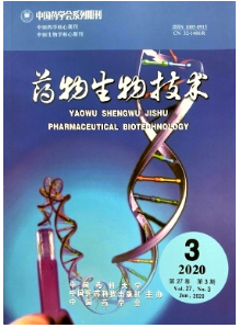 药物生物技术 生物技术研究与开发的创新引擎