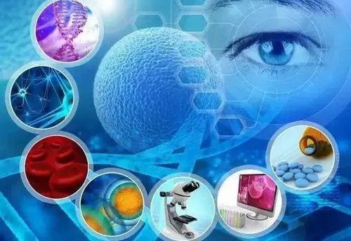 生物科学与生命科学的区别(二) 聚焦生物技术研究与开发