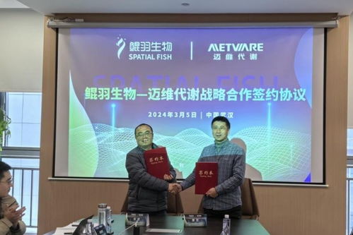 拓宽高分辨时空组学新领域 鲲羽生物与迈维代谢签署战略合作协议