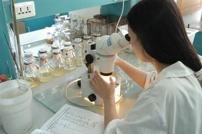 这4大“冷门”专业，毕业就遭公司疯抢！生物技术研究与开发异军突起